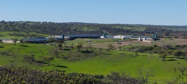 Instalaciones y terrenos para explotación porcina iberica - Juzgado N.1 de Huelva 