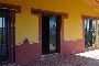 Instalaciones y terrenos para explotación porcina ibérica en provincia de Huelva  6