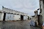 Immòbil industrial cun càsa colonica e tèrren agricòl a Loreto (AN) - LOTTO 3 2