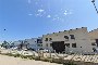 Industrial building in Loreto (AN) - LOT 4 1