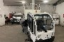 Quadriciclo Elettrico Goupil G3L 2
