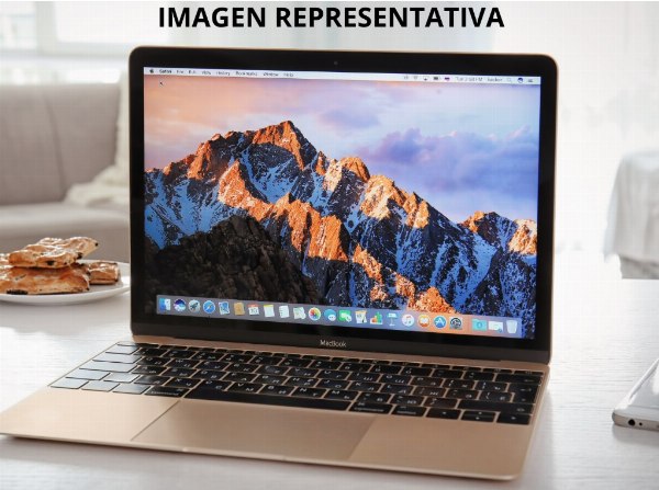 Stampante Roland e Computer Apple, HP, Lenovo - Tribunale N. 6 di Barcellona