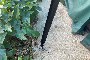Struktura Tensile 10M X 4M 5
