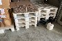 N. 14 Pallet in Plastica 2