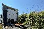 Trattore per Semirimorchi Volvo Truck FH 12 T42 3