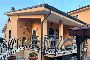 Partie d'une maison bifamiliale à Rome 5