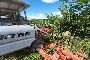 Carro Botte pe Fertirrigazione Vigneti 3