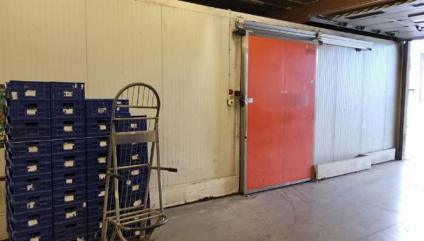 Kjølerom Foris - Rettssalg nr. 28/2024 - Domstolen i Latina - Salg 3