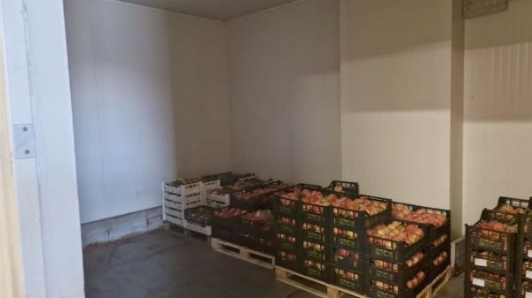 Kjølerom Foris - Rettssalg nr. 28/2024 - Domstolen i Latina - Salg 3