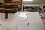 Genopretter Stema UT12 3