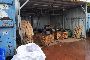 Affitto d'azienda ca fa riciclaggio de rifiuti a Giulianova (TE) 6