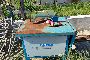 No. 3 Circular Saws 6