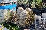 Atrezzadure de Cantiere 5