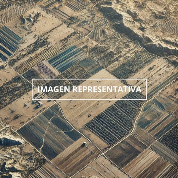 Finca Rustica situata a Peñíscola, Castellón - Tribunale del Commercio N° 7 di Madrid
