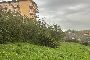 Terreno agricolo a Vallerano (VT) 3