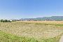 Agricultural land in Bassano del Grappa (VI) 2