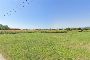 Agricultural land in Bassano del Grappa (VI) 3