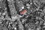 Locale Commerciale di 78m2 a Vigo 2