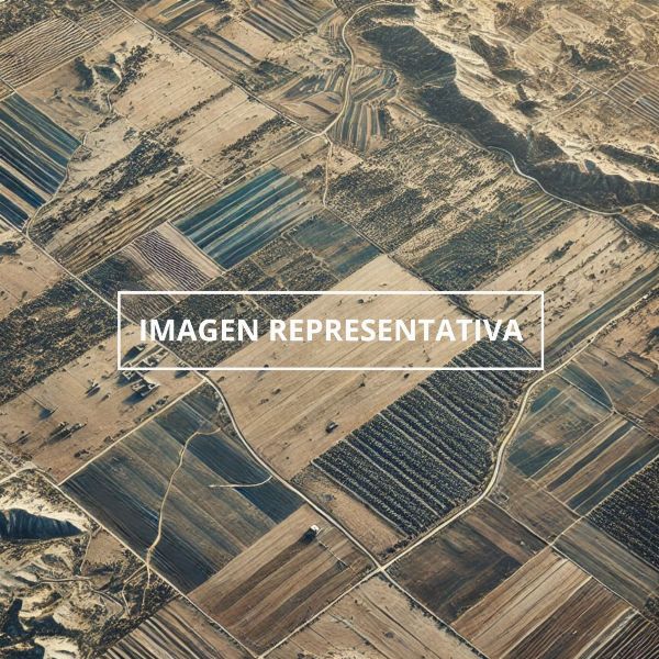 Varie fattorie urbane e rustiche a Leganés e Móstoles - Tribunale De Lo Mercantil N.º 01 De Madrid