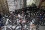 About 130 Bicycles 5