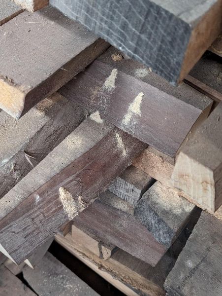 Залихе дрвета - Судска ликвидација бр. 65/2023 - Трибунал у Венецији