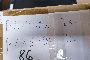 SSD Externs - N. 27 Peces 5