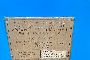 Container blu co' attrezzature varie 2