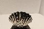 No. 2 Paperweights in Sterling Silver 3