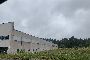 Capannone industriale di 1.626 m2 costruiti in A Trabe, Cedeira 3