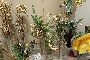 No. 40 Glass Vases 5