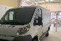 FIAT DUCATO Van 2