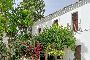Hacienda i Huevar del Aljarafe, Sevilla 2