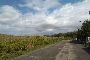 Terreni agricoli a Guidonia Montecelio (Roma) - LOTTO GM T001 2