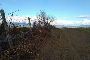 Terreni agricoli a Guidonia Montecelio (Roma) - LOTTO GM T001 4