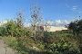 Terreni agricoli a Guidonia Montecelio (Roma) - LOTTO GM T001 6