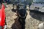 Honda SH150 del 2013 2