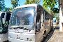 Autob&uacute;s IVECO FIAT 380E.12.38 HD - A 1