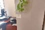 Muebles y Equipos para Oficina - C 3