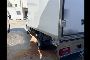 Furgone Isotermico IVECO 35C18 con Gruppo Frigorifero 6