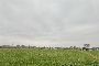 Poljoprivredno zemlji&scaron;te u San Maurizio Canavese (TO) - LOT 4 3