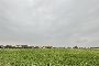 Terrenos agr&iacute;colas en San Maurizio Canavese (TO) - LOTE 6 2