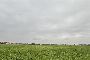 Terrenos agr&iacute;colas en San Maurizio Canavese (TO) - LOTE 6 3