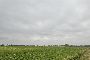 Terrenos agr&iacute;colas en San Maurizio Canavese (TO) - LOTE 6 4