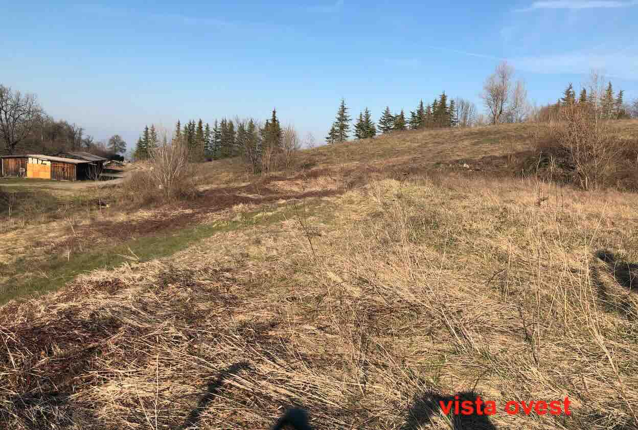 Terreno en Gazzola (PC) - LOTE 3
