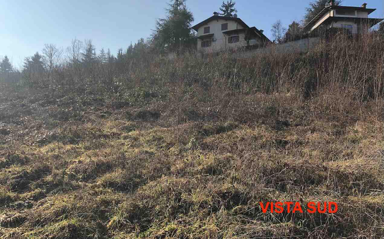 Terreno edificable en Gazzola (PC) - LOTE 20
