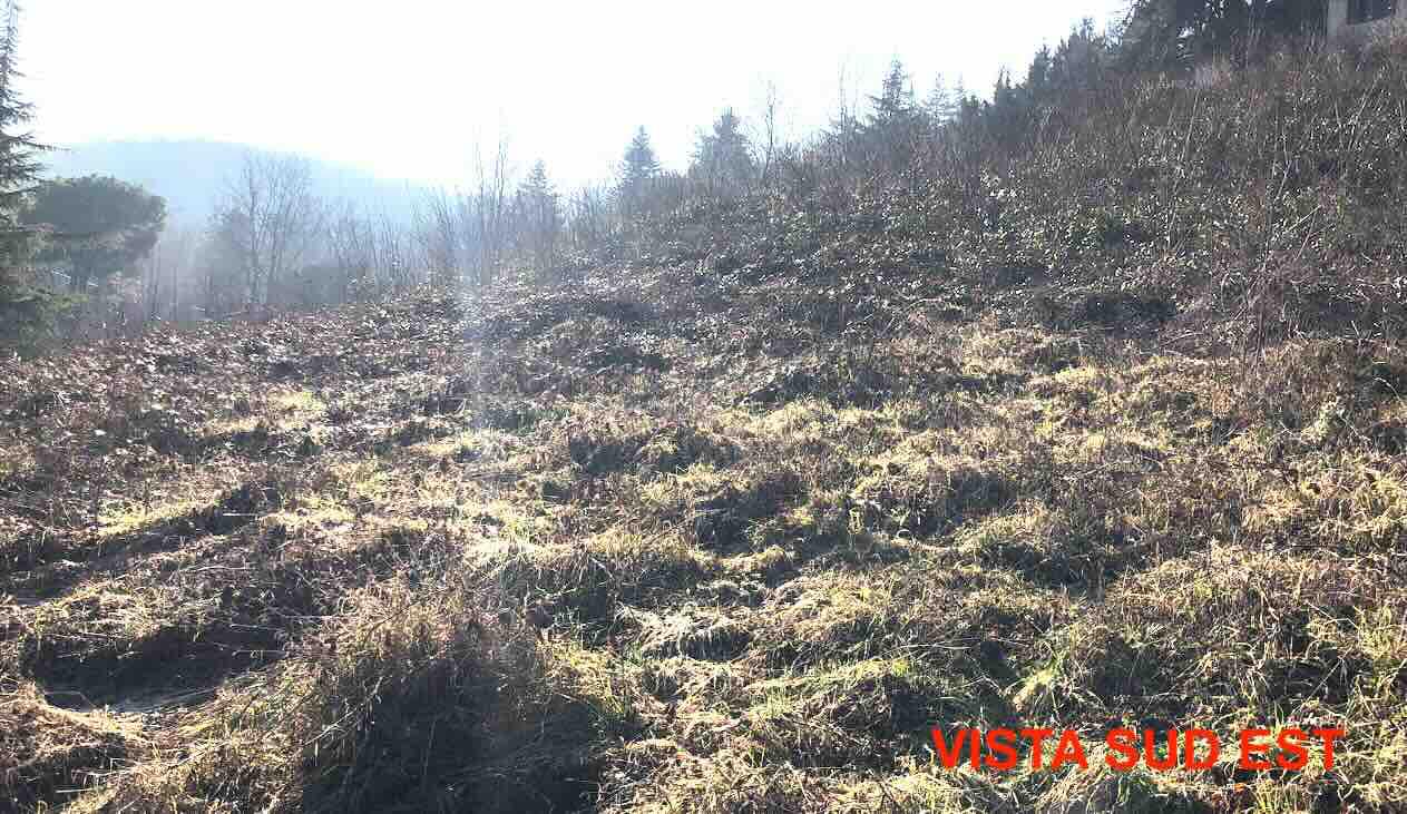 Terreno edificable en Gazzola (PC) - LOTE 20