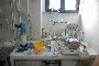 Laboratoriu Analisi Farini 2