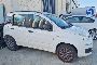FIAT Panda 5