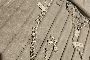 Silver rosary 3