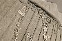 Silver rosary 4